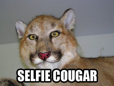 Selfie Cougar