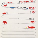 Vintage Infographic: How Long Do Animals Live?