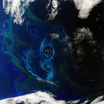 Earth from Space: Figure 8 Algal Bloom