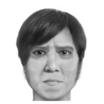 Literary characters visualized using police composite sketch software.