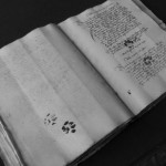 Paws, Pee and Mice: Cats & Medieval Manuscripts