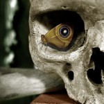 A Skull's Butterfly Eye